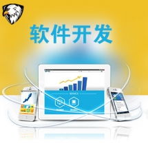 一品威客網軟件外包服務報價與收費解析 專業、透明、高性價比的開發選擇