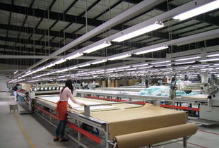 優質工廠成稀缺資源 從服裝加工到軟件外包，解析“訂單發不出去”背后的結構性變革