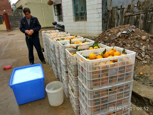 技術服務再出發 農一網道縣工作站開啟宣傳推廣新篇章
